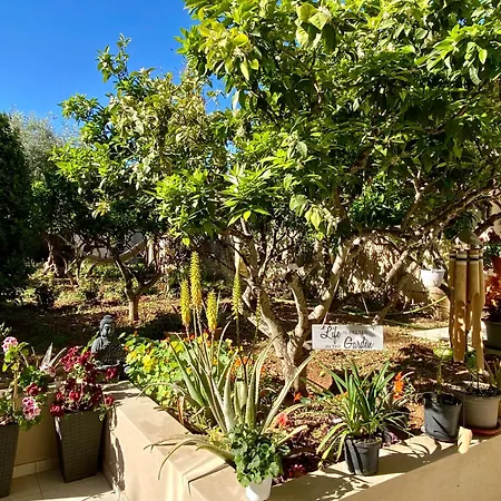Frühstückspension Maltese Garden Mosta