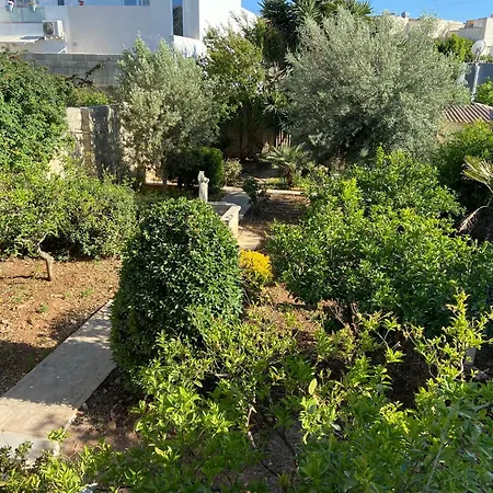 Oda ve Kahvaltı Maltese Garden