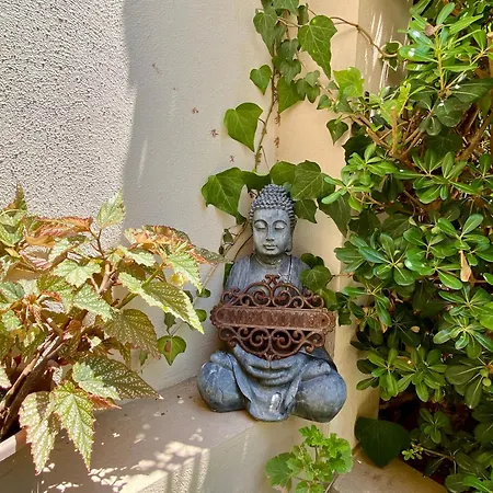 Maltese Garden Oda ve Kahvaltı *