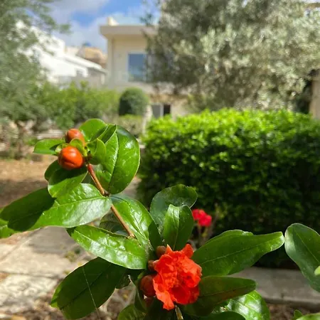 Maltese Garden *