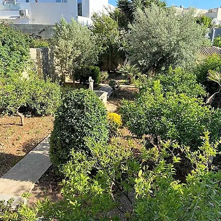 Maltese Garden Mosta