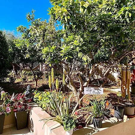 Maltese Garden *